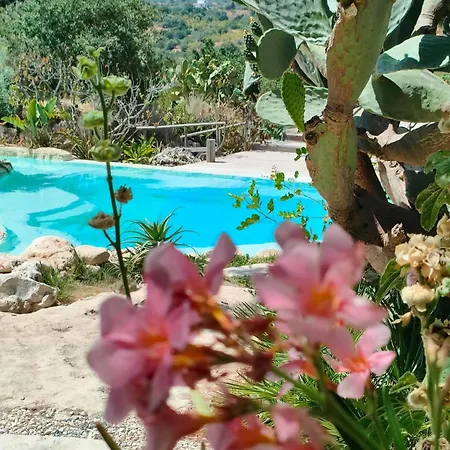 Oasi Conca D'oro Glamping
