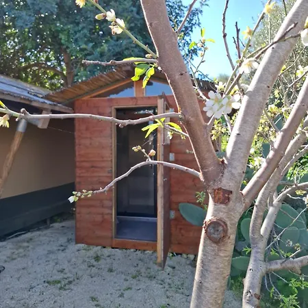 Luxuszelt Oasi Conca D'oro Glamping Noto